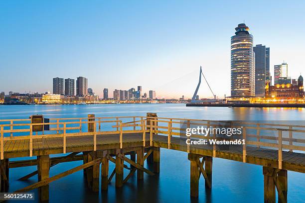 netherlands, county of holland, rotterdam, view to erasmus bridge, kop van zuid, pier in front - erasmusbrug stock pictures, royalty-free photos & images