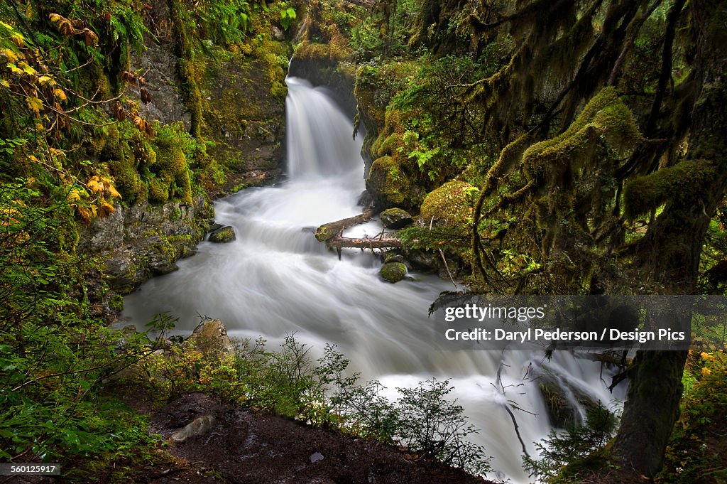Water flowing into a river rushing down lush mountainside
