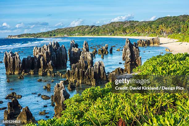 naurus rocky coastline - nauru stock pictures, royalty-free photos & images