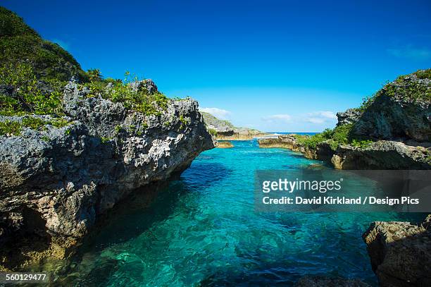 a popular swimming spot on niue island - niue 個照片及圖片檔