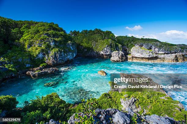 a popular swimming spot on niue island - samoa fotografías e imágenes de stock