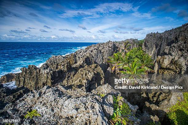 rugged coastline - niue island stockfoto's en -beelden