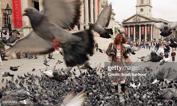 Woman is surrounded by pigeons as she feeds them in Trafalgar Square on October 26, 2005 in London, England. The British government is to announce...