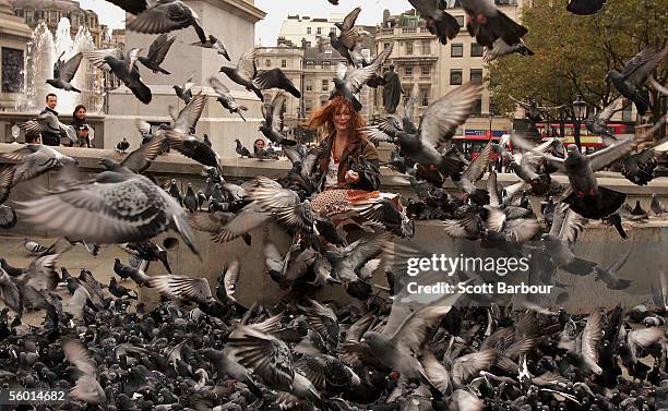 tourists feed pigeons despite bird flu fears - columbidae stock pictures, royalty-free photos & images