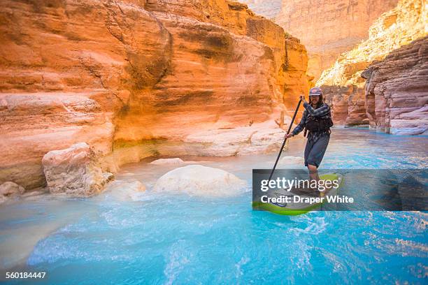 man paddle boarding in havasu creek. - grand canyon national park stock pictures, royalty-free photos & images