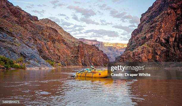 man rowing raft during sunset. - rubber boat stock pictures, royalty-free photos & images