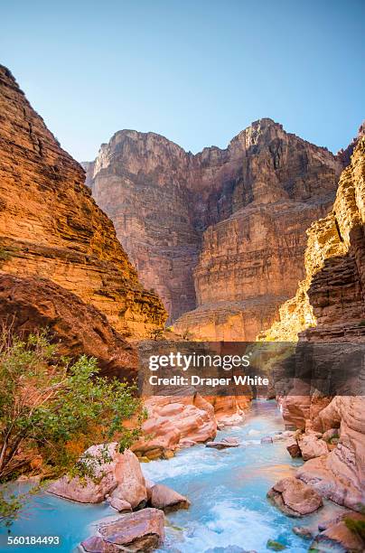 havasu creek view - grand canyon stock-fotos und bilder