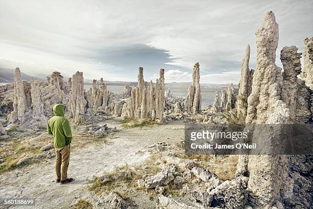 lone male in surreal landscape - mono lake stock pictures, royalty-free photos & images