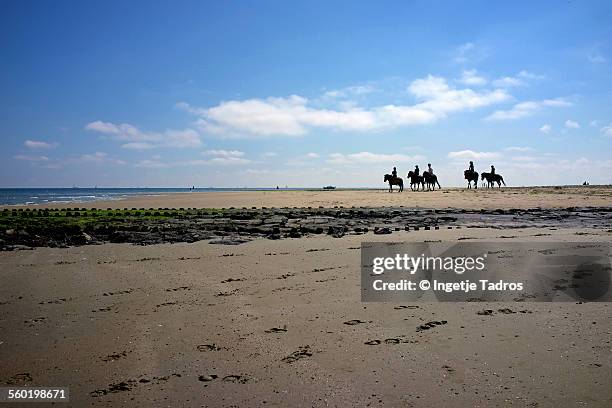 horse riders on the beach - vlieland stock pictures, royalty-free photos & images