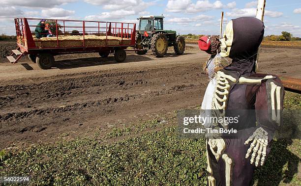 Hayrack Ride Photos and Premium High Res Pictures - Getty Images