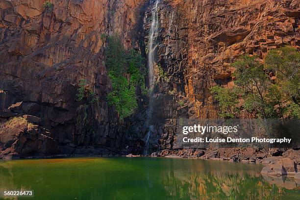 northern rockhole - nitmiluk national park - escarpment stock pictures, royalty-free photos & images