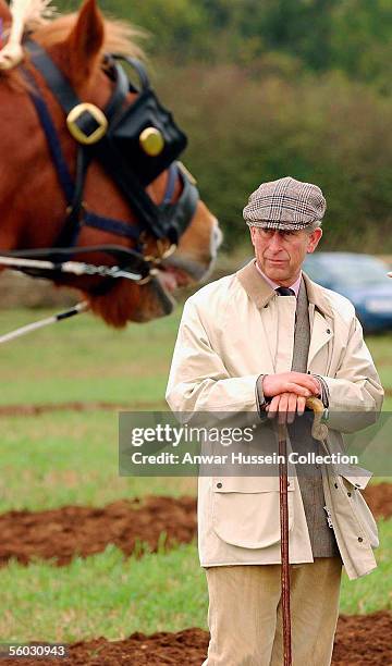 Prince Charles, Prince of Wales watches participants during the National Hedge Laying Championships at Home Farm on October 29, 2005 in Tetbury,...