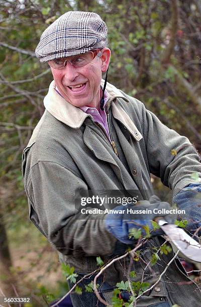 Prince Charles, Prince of Wales looks over his shoulder during the National Hedge Laying Championships at Home Farm on October 29, 2005 in Tetbury,...