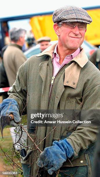 Prince Charles, Prince of Wales pulls a face during the National Hedge Laying Championships at Home Farm on October 29, 2005 in Tetbury,...