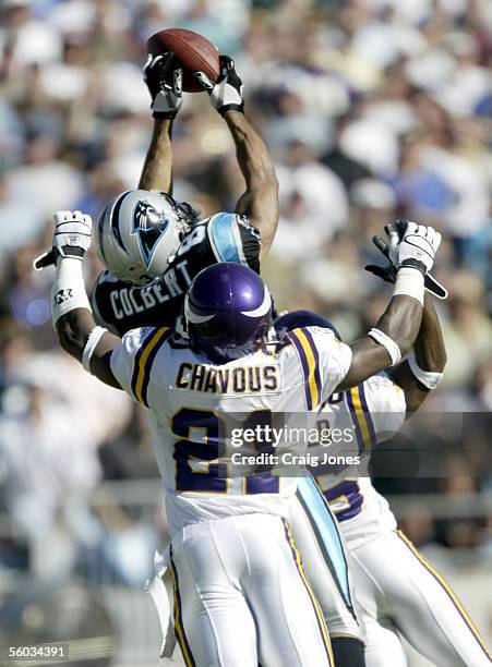 Antoine Winfield and Corey Chavous of the Minnesota Vikings break up a pass to Keary Colbert of the Carolina Panthers on October 30, 2005 at Bank of...