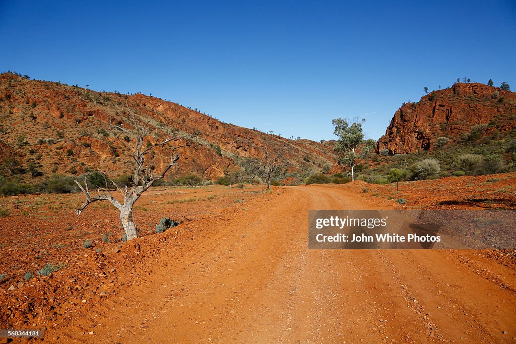 Arkaroola. Flinders Ranges. South Australia