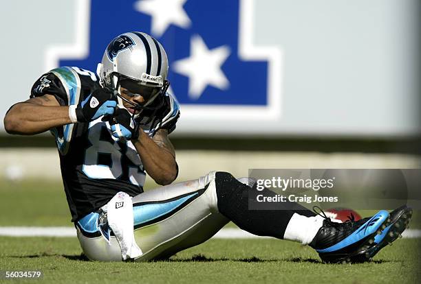 Steve Smith of the Carolina Panthers celebrates a 69 yard pass play by "rowing a boat" against the Minnesota Vikings on October 30, 2005 at Bank of...