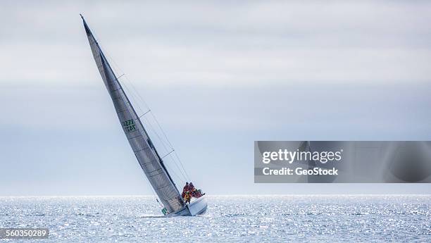 a sailboat on the salish sea - yacht race stock pictures, royalty-free photos & images