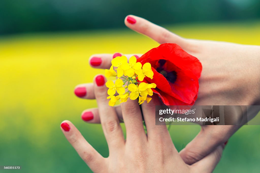 Hand Spring High-Res Stock Photo - Getty Images