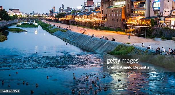 kamo river at dusk - kamo river stock pictures, royalty-free photos & images