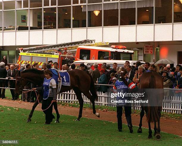 Racing patrons were evacuated from the members stand at Ellerslie, Auckland, Monday for a fire false alarm which held up racing for a short time.