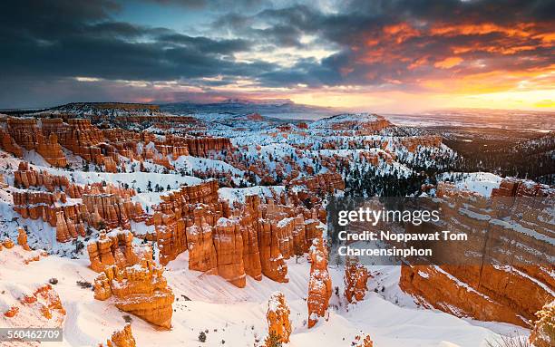 winter in bryce canyon national park - bryce canyon 個照片及圖片檔