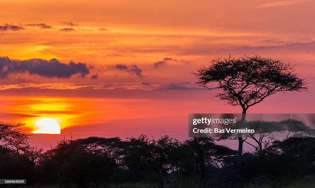 Serengeti sunset