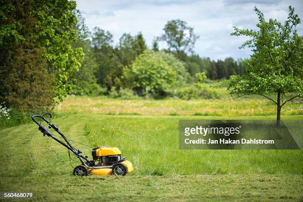 lawn mower in garden - handgrasmaaier stockfoto's en -beelden