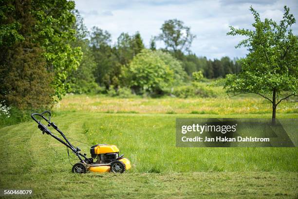 lawn mower in garden - ceifador imagens e fotografias de stock