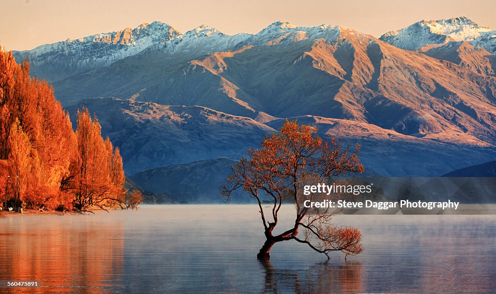 Wanaka foggy sunrise