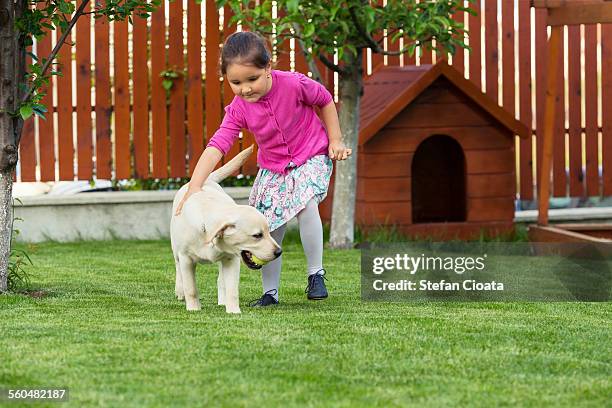 friends playing in backyard - dog house stock-fotos und bilder