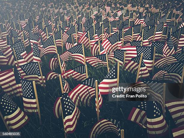 flags - kriegsveteranen gedenktag stock-fotos und bilder