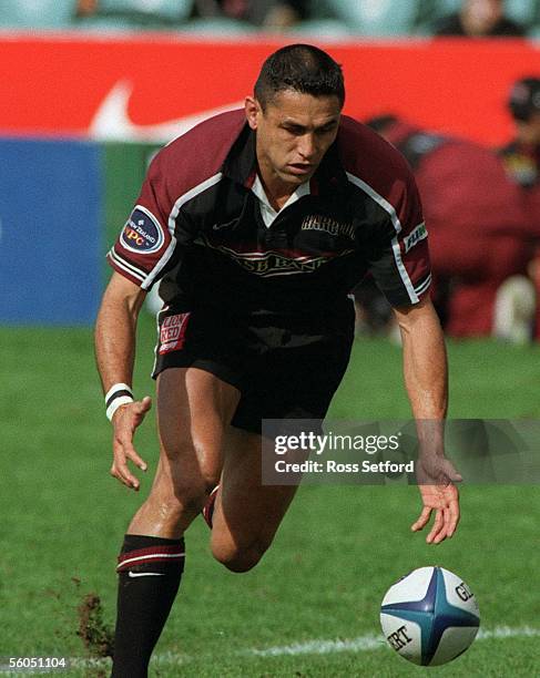 Frano Botica Rugby Frano Botica Photos and Premium High Res Pictures - Getty Images