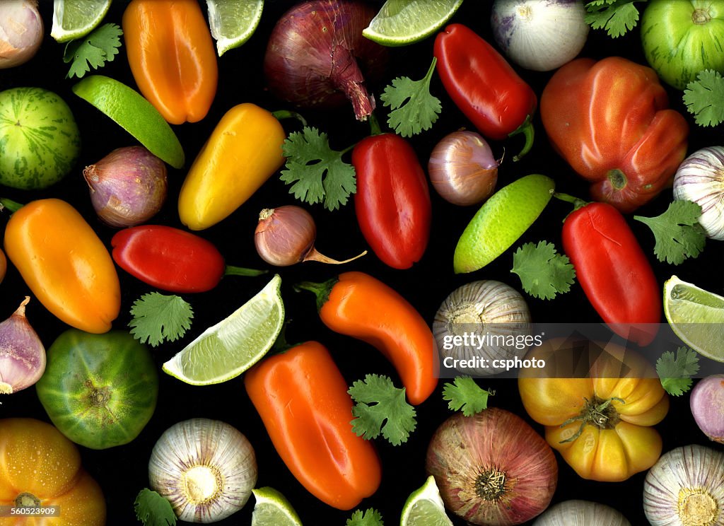 Salsa Ingredients isolated