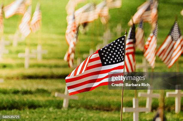 single focus on american flag on memorial  day - feriados en memoria de la guerra fotografías e imágenes de stock