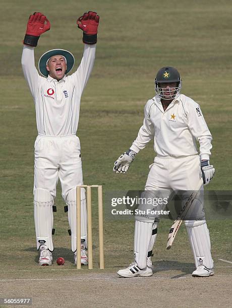 England wicketkeeper Matt Prior appeals succesfully for the wicket of Bazid Khan off the bowling of Ashley Giles during the third and final day of...