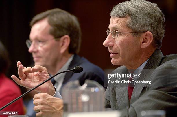 Doctor Anthony Fauci, Director of the National Institute on Allergy and Infectious Diseases, speaks before the U.S. Senate Committee on...