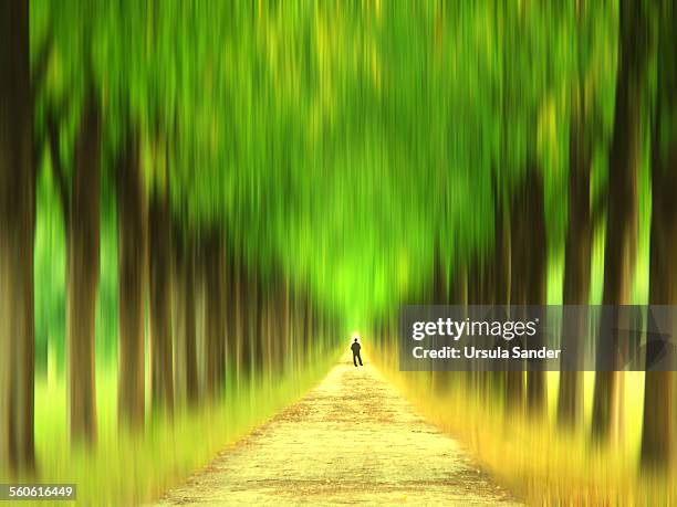 walk into the unknown - hanover germany stock pictures, royalty-free photos & images