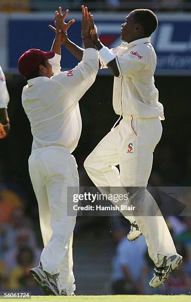 Fidel Edwards of the West Indies celebrates the wicket of Shane Watson of Australia during day one of the First Test between Australia and the West...