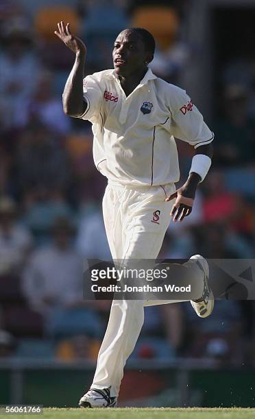 Fidel Edwards of the West Indies celebrates the wicket of Shane Watson of Australia during day one of the 1st Test between Australia and the West...