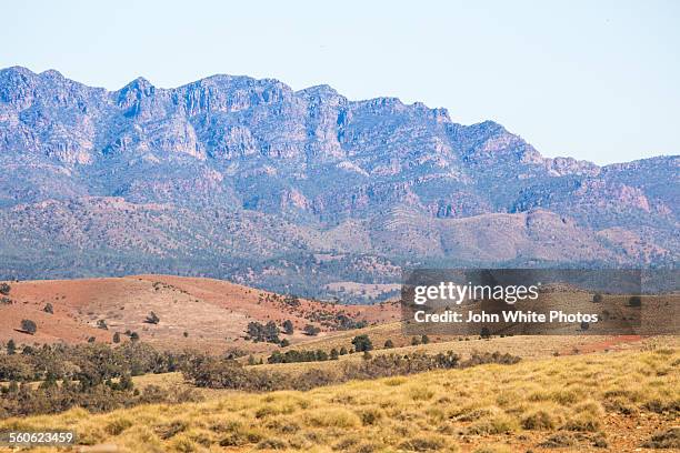 wilpena pound. flinders ranges - flinders ranges stockfoto's en -beelden