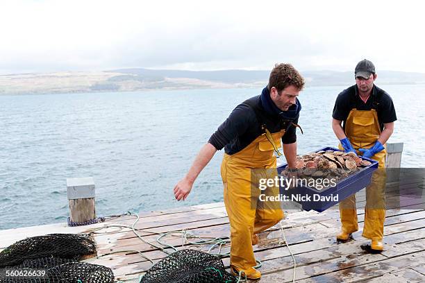 scallop divers fishing in scotland - scottish food stock pictures, royalty-free photos & images