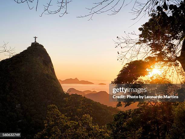 the sunset from the forest - christ the redeemer rio stock pictures, royalty-free photos & images