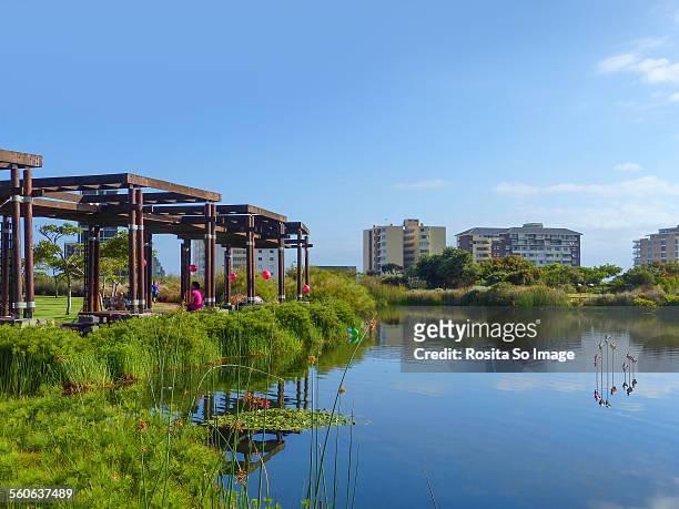 green point urban park, cape town, south africa - mccarren park stock pictures, royalty-free photos & images