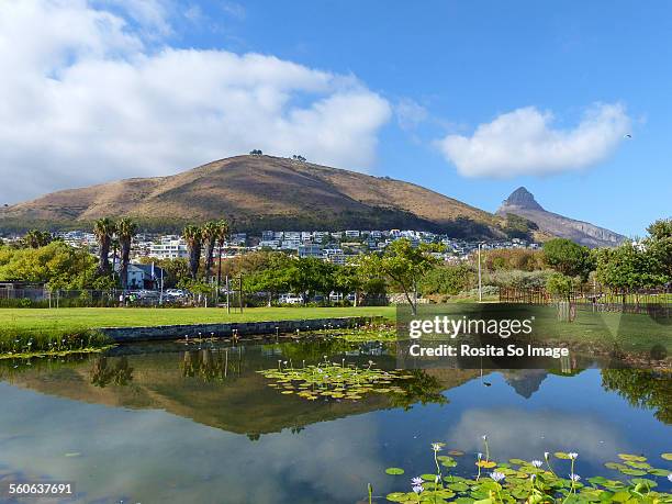 signal hill and lion's head - mccarren park foto e immagini stock