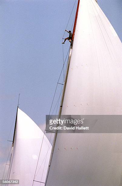 Crewman sits atop a spinaker on the Prada mast looking for changes in the breeze in the race against Young Australia 2000 in the third round robin of...