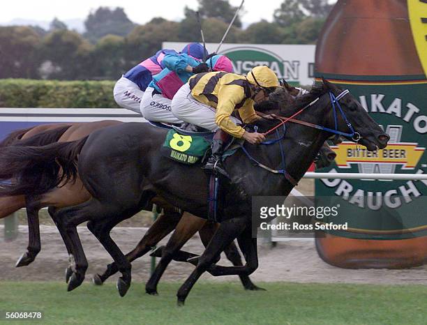 Tall Poppy ridden by Jim Walker heads off Bareall and Hero to win the Waikato Draught Sprint at the Waikato Racing Clubs meeting at Te Rapa,...