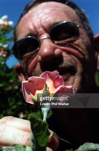 Ivan Crowther looks at Powdery Mildew growing on the stem of a rose in the Parnell Rose Gardens, Thursday.