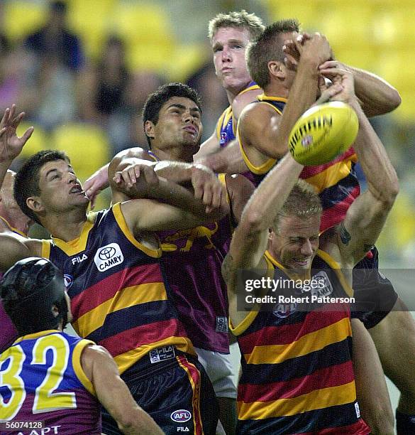 Shaun Hart Brisbane Lions, Ben Marsh Adelaide Crows, Damian Cupido Brisbane Lions, Nathan Clarke, Matthew Robin hidden and Adam Richardson front...