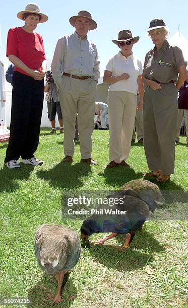 Australian and New Zealand Prime Minister's John Howard and Helen Clark with Janette Howard and DOC worker Barbara Walter look over the endangered...